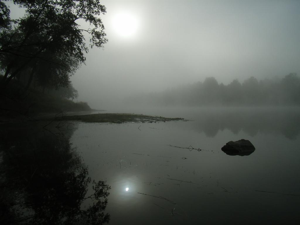 1011x754 pixels (55K)
